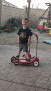 Tahoe loves trying to balance on two scooters.