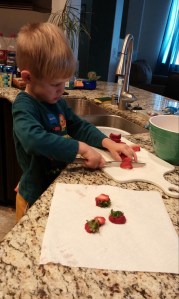 Kona slices strawberries to pack for our lunch.