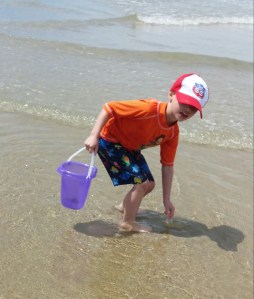 Tigger collects shells on the beach.