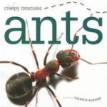 ants-valerie-bodden-hardcover-cover-art